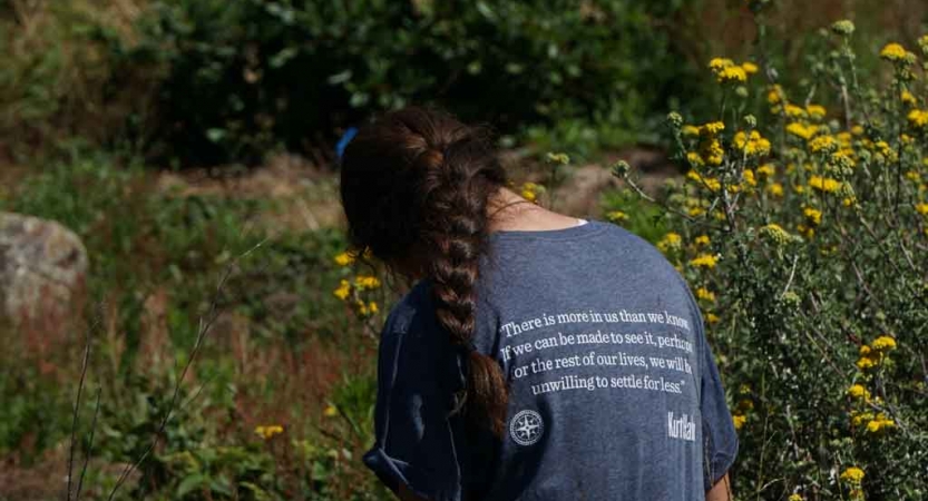 A person faces away from the camera in a field of yellow flowers. 